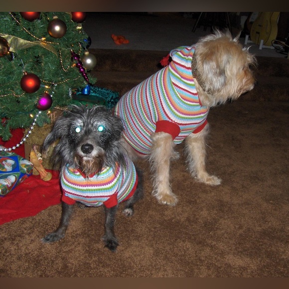 Meet your Posher, Jing - Picture 7 of 9